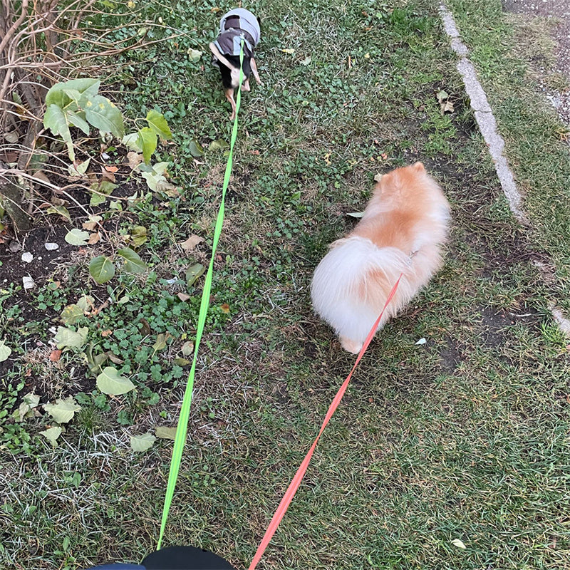 Furry Joy Dual Retractable Dog Leash with LED Light – 360° No-Tangle for Two Dogs